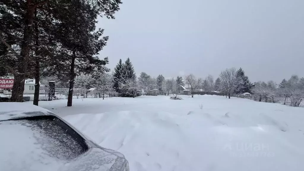 Участок в Воронежская область, Рамонский район, Айдаровское с/пос, ... - Фото 2