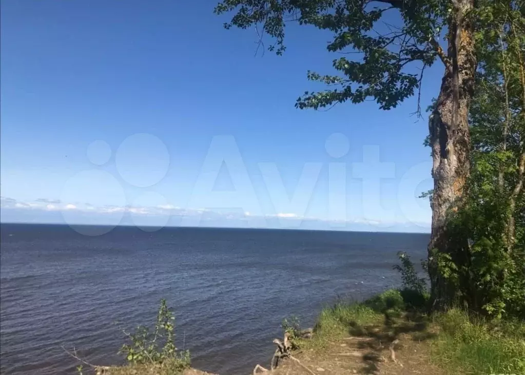 Участок 15 сот. (СНТ, ДНП) - Фото 0
