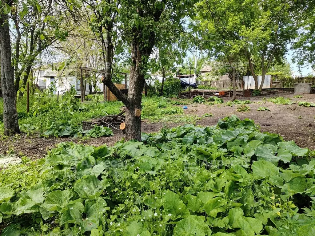 Участок в Волгоградская область, Волгоград Наука СНТ,  (6.2 сот.) - Фото 1