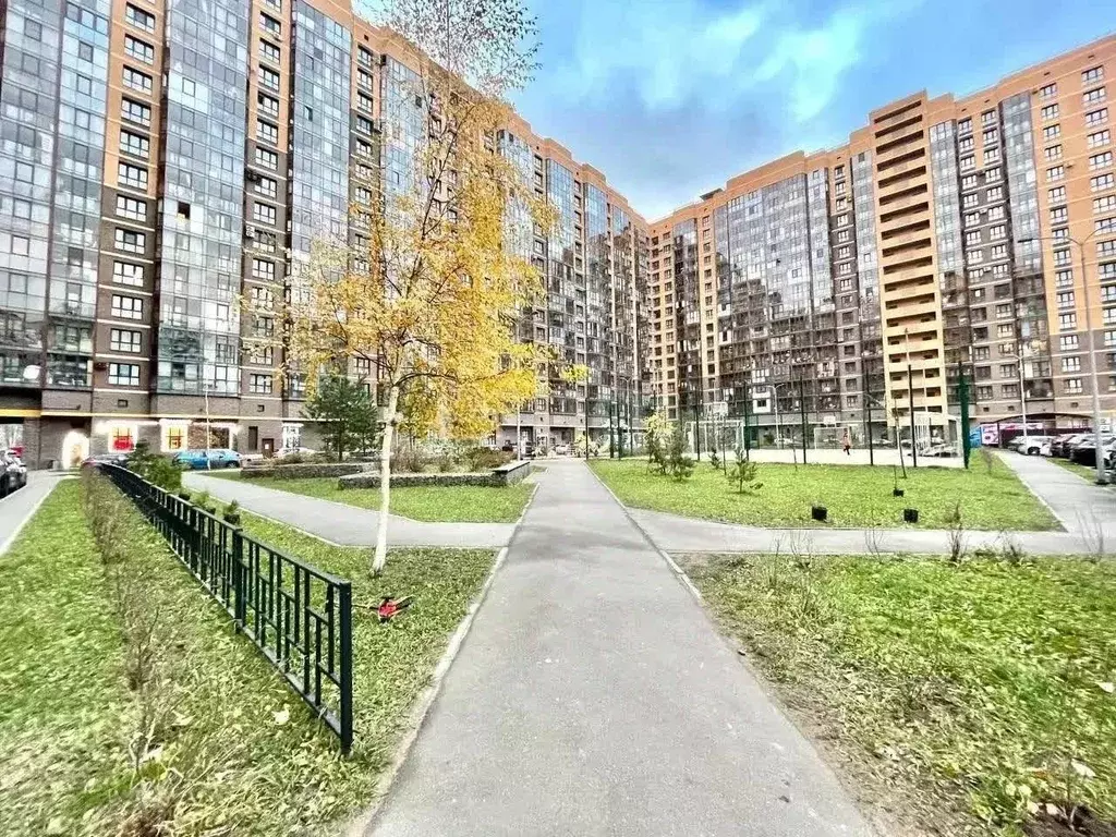 Студия Санкт-Петербург просп. Маршала Блюхера, 7к1 (25.0 м) - Фото 2