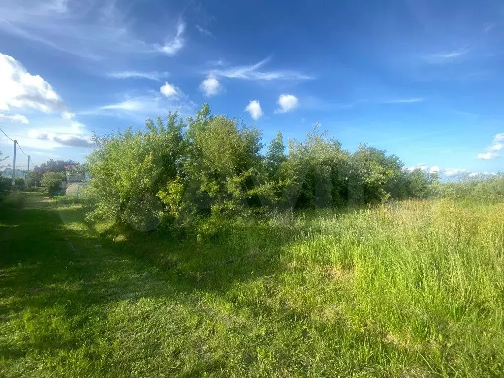 Участок 6 сот. (СНТ, ДНП) - Фото 0