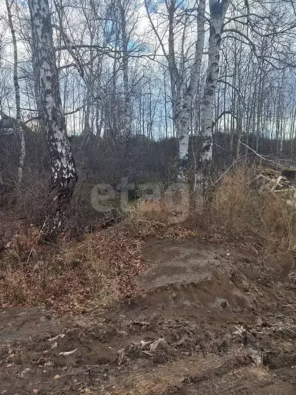 Участок в Красноярский край, Красноярск Пригорная ул., 51А/196 (8.63 ... - Фото 1