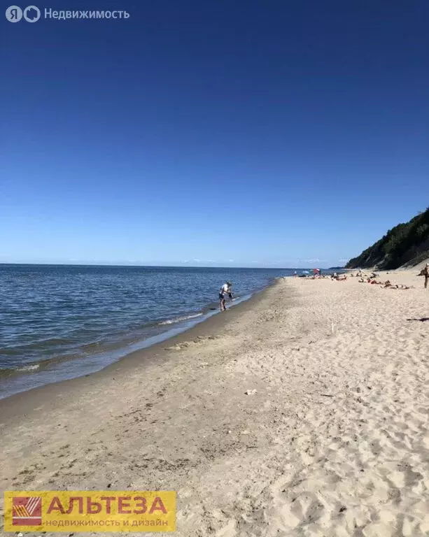 Участок в Светлогорский городской округ, посёлок Молодогвардейское, ... - Фото 1