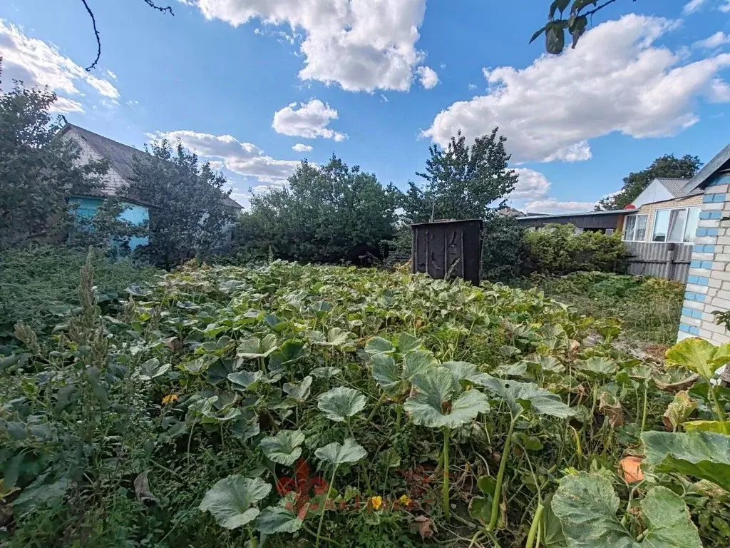 Дом в Белгородская область, Белгородский район, с. Стрелецкое ул. ... - Фото 1