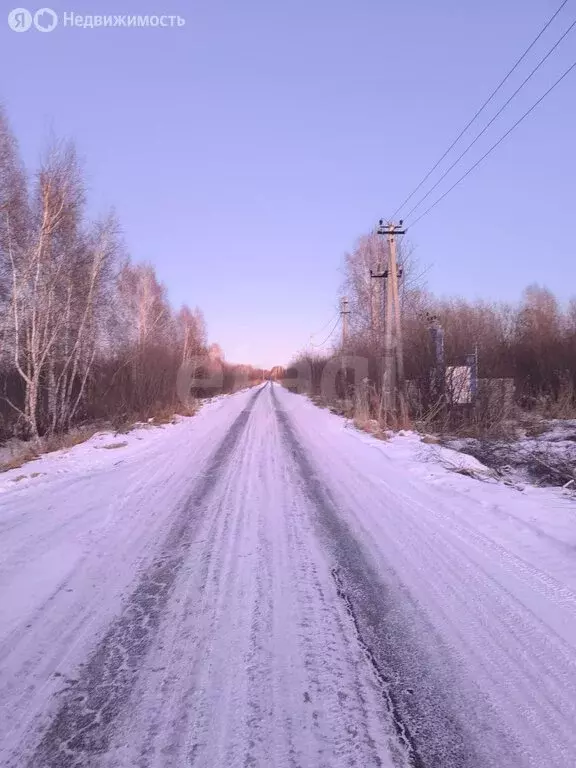 Участок в Тюменская область, Нижнетавдинский муниципальный округ, СНТ ... - Фото 2
