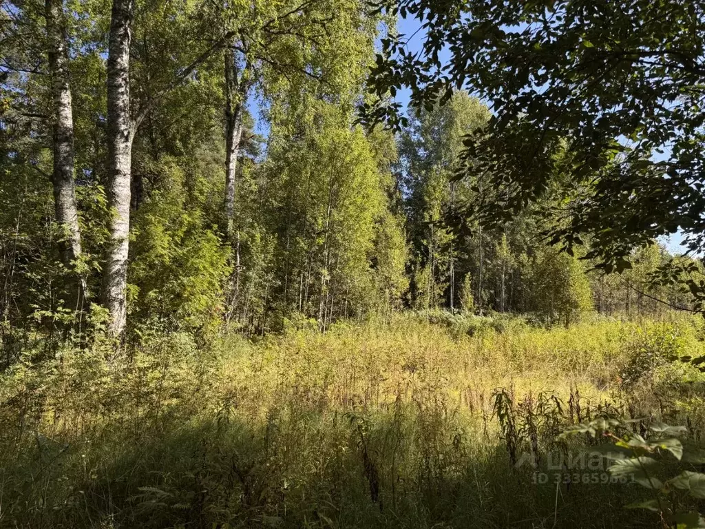 Участок в Ленинградская область, Приозерский район, Мельниковское ... - Фото 1