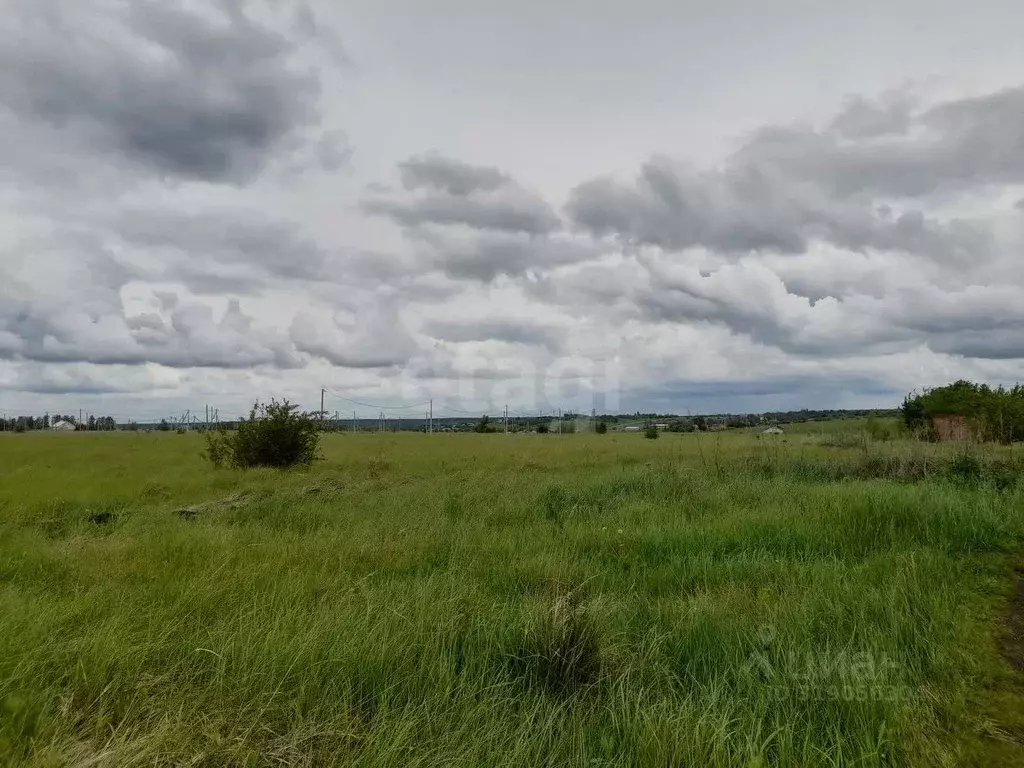 Участок в Саратовская область, Балашовский район, Хоперское ... - Фото 1