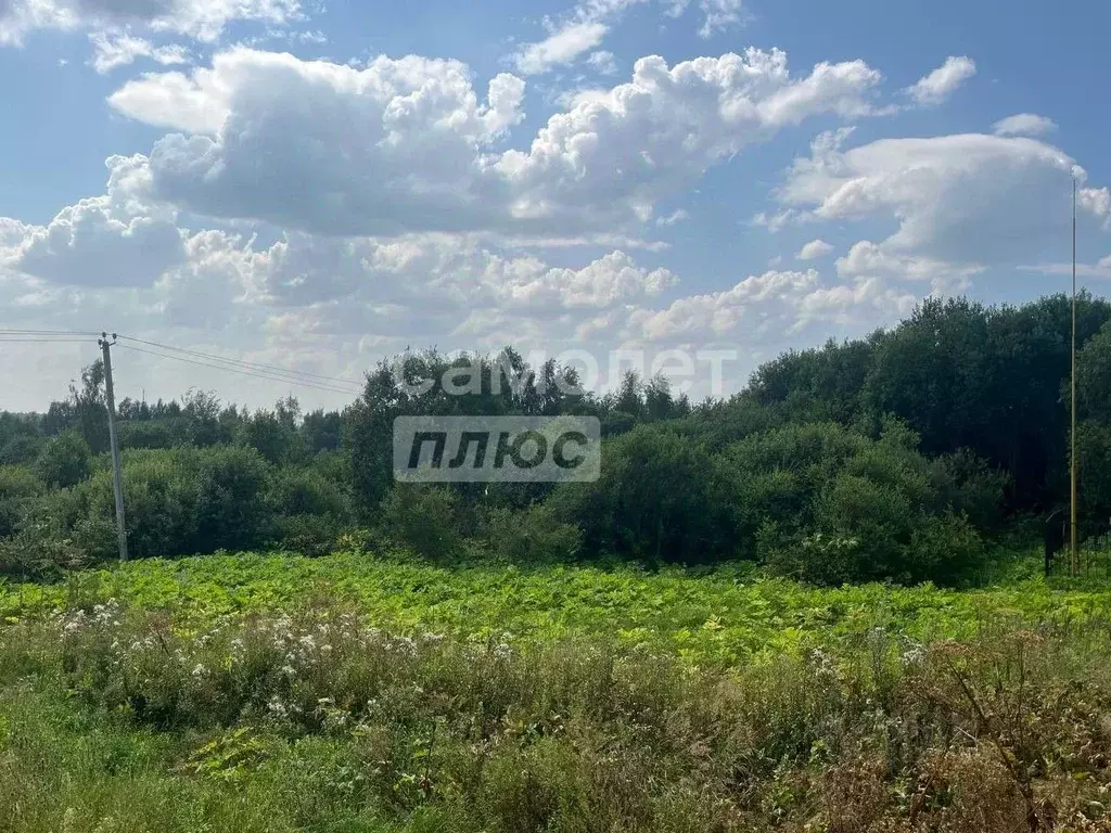 Участок в Московская область, Солнечногорск городской округ, д. ... - Фото 2
