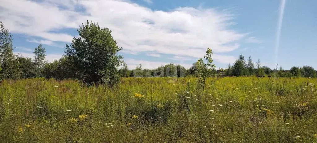 участок в нижегородская область, кстовский муниципальный округ, с. . - Фото 0