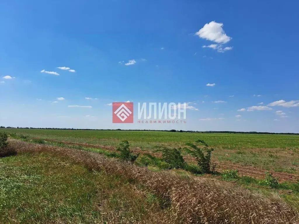 Участок в Крым, Сакский район, с. Ивановка ул. Дружбы, 10 (630.0 сот.) - Фото 2