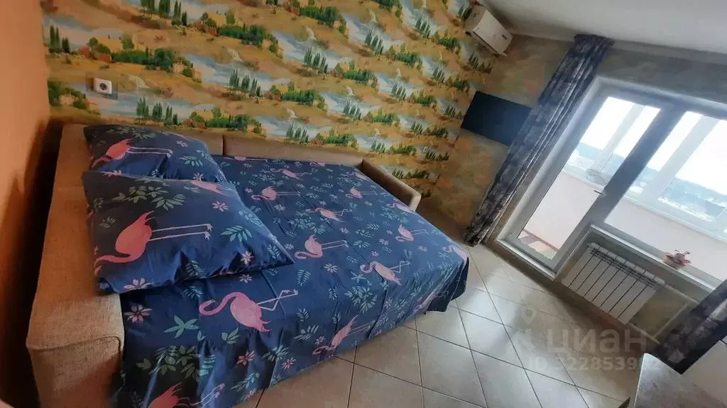 1-к кв. Челябинская область, Миасс ул. Колесова, 1 (24.0 м) - Фото 2