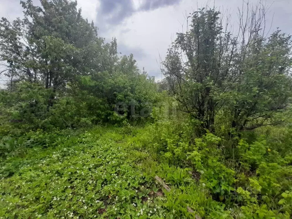 Участок в Оренбургская область, Оренбургский район, Нежинский ... - Фото 1