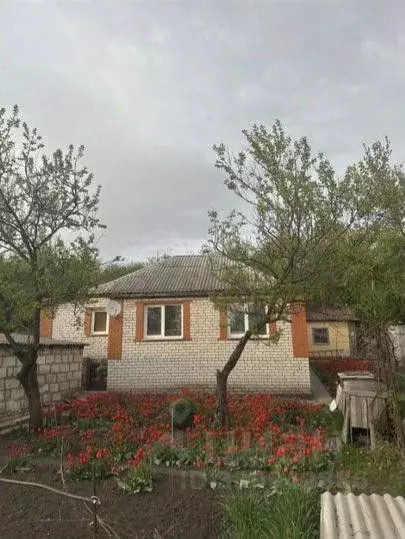 Дом в Белгородская область, Губкин Центральная ул. (98 м) - Фото 1