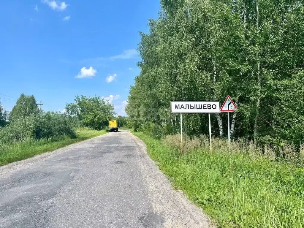 Участок в Владимирская область, Селивановский район, с. Малышево  ... - Фото 1