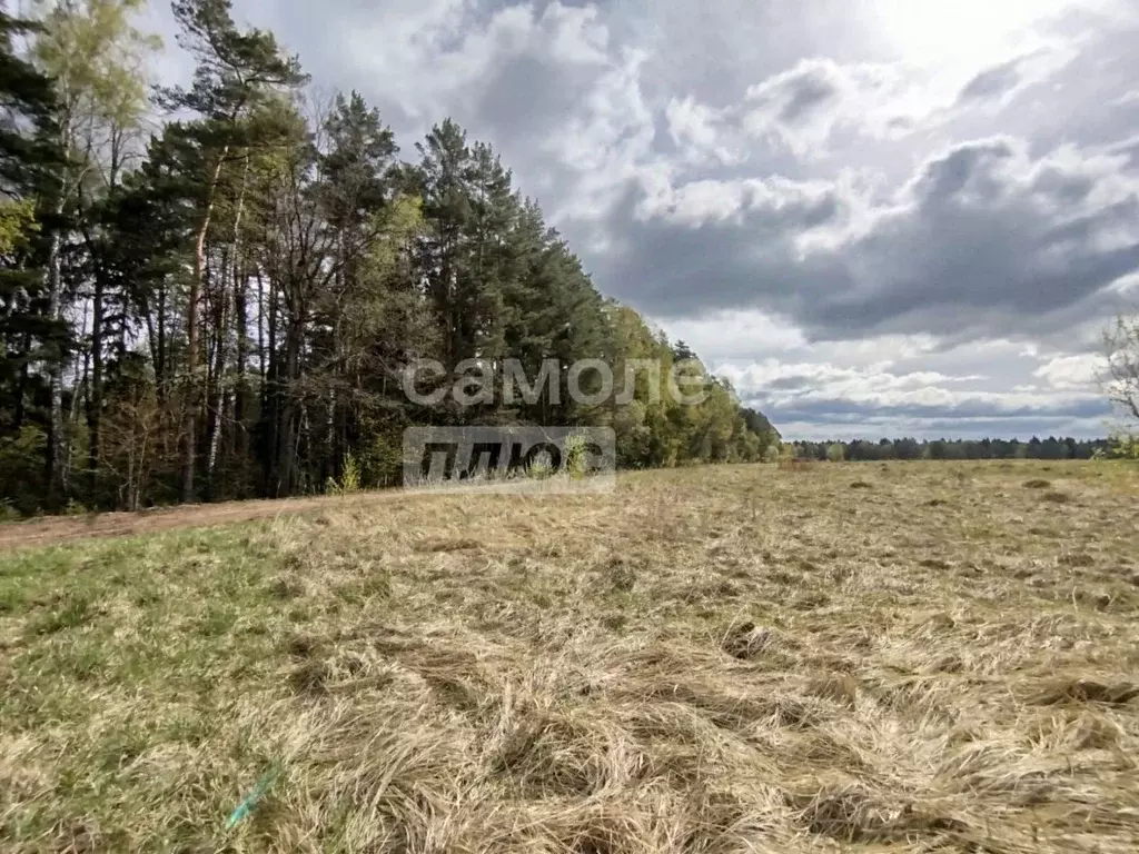 Участок в Московская область, Серпухов городской округ, д. ... - Фото 1