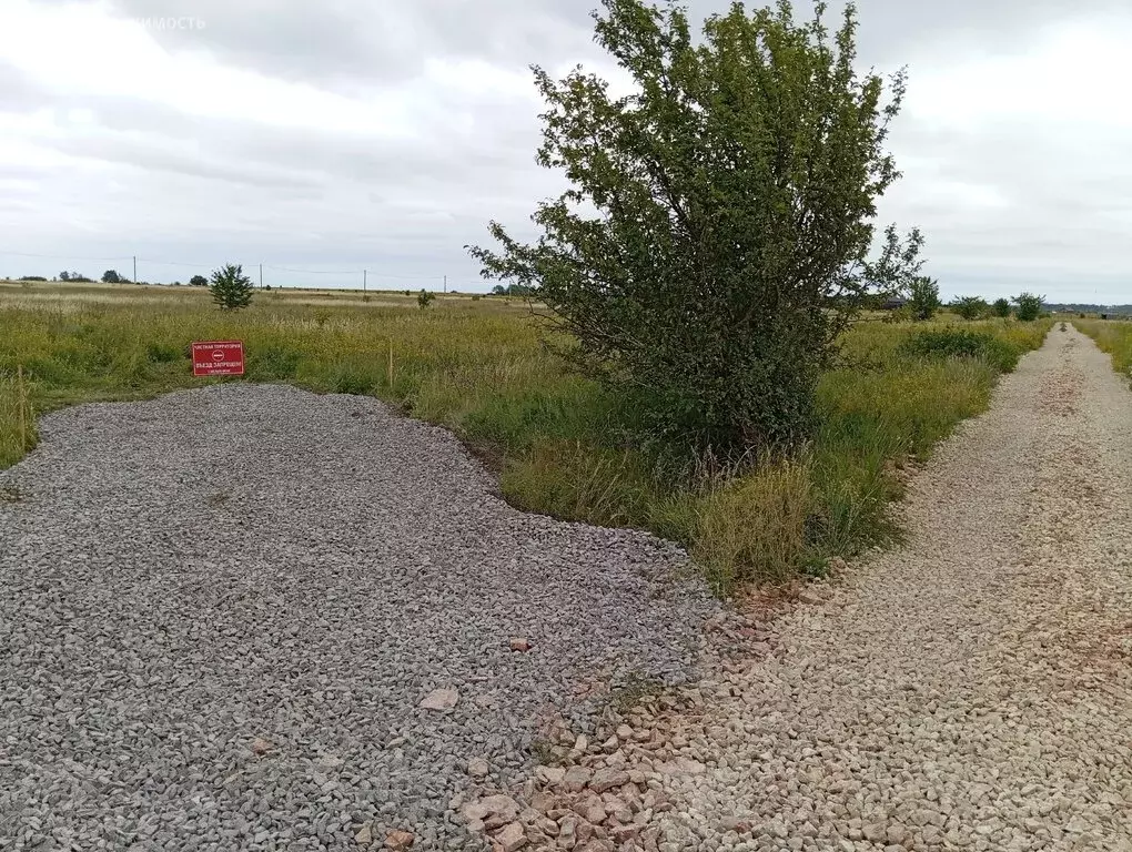 Участок в Наговское сельское поселение, деревня Ретлё, Полевая улица, ... - Фото 2