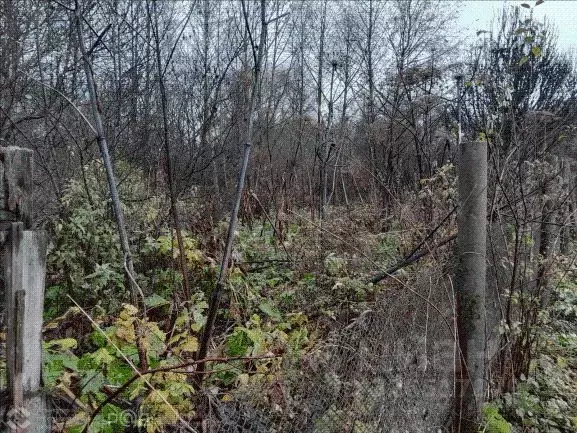 Участок в Москва д. Сенькино-Секерино, 180А (4.02 сот.) - Фото 2