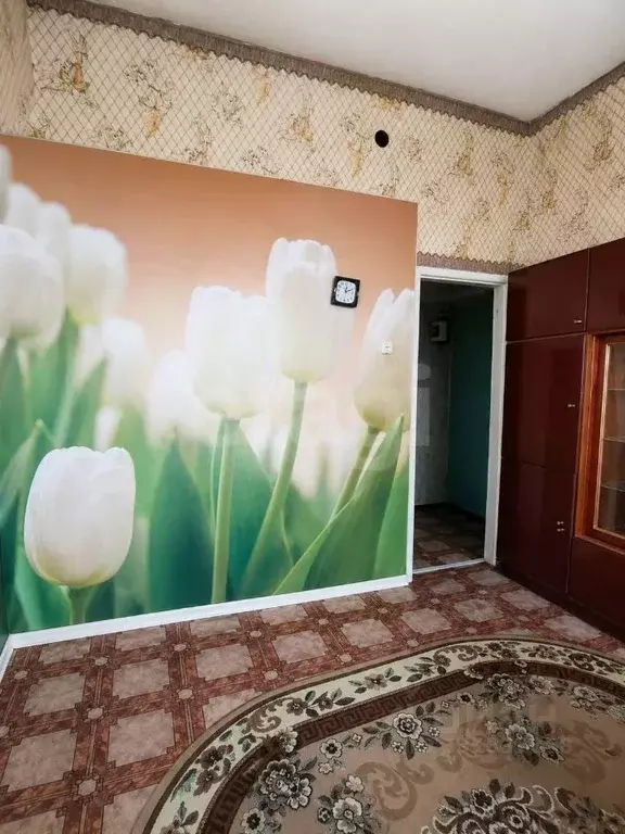 1-к кв. Пермский край, Ильинский муниципальный округ, с. Сретенское ... - Фото 2