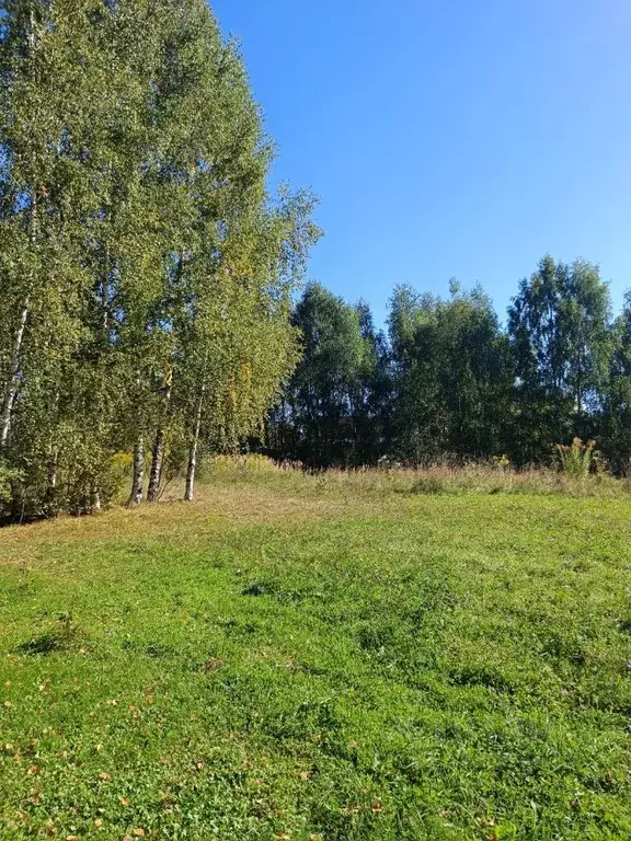 Участок в Нижегородская область, Городецкий муниципальный округ, д. ... - Фото 2