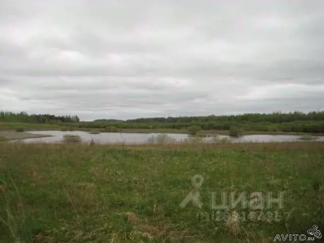 Участок в Псковская область, Пушкиногорье городское поселение, д. ... - Фото 1