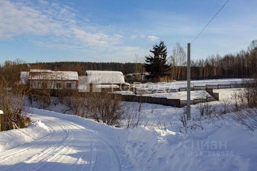 Дом в Кемеровская область, Калтанский городской округ, с. Сарбала ул. ... - Фото 1