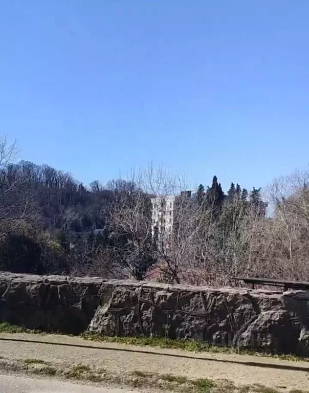 Помещение свободного назначения в Краснодарский край, Сочи Хоста ... - Фото 2
