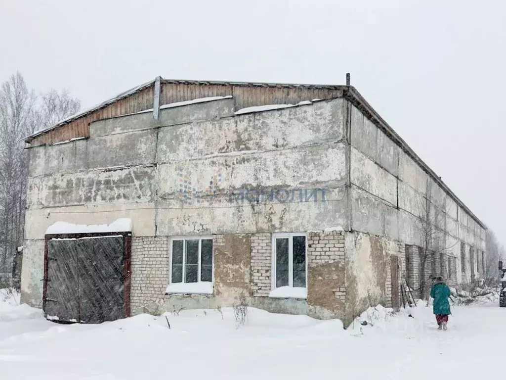 Производственное помещение в Нижегородская область, Бор городской ... - Фото 0