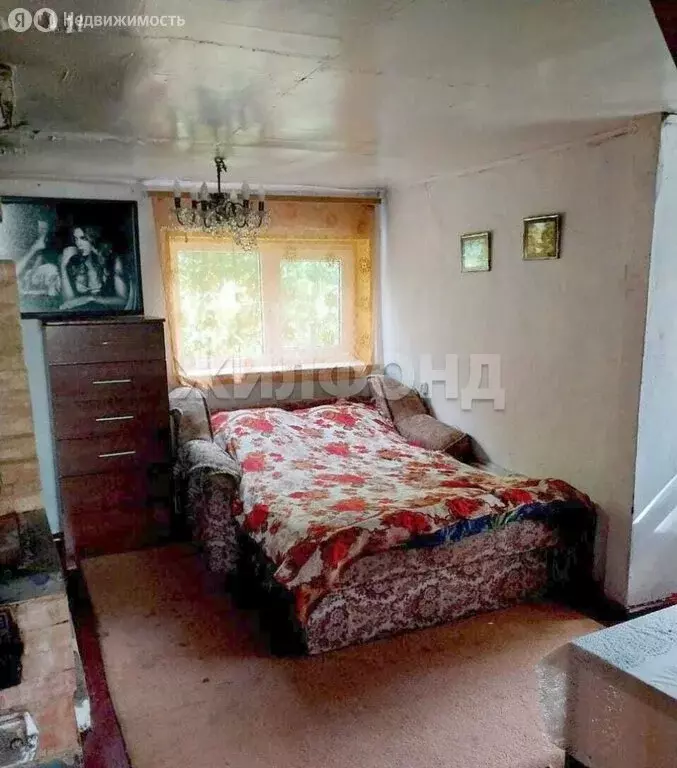 Дом в Колыванский район, СНТ Нива, Центральная улица (55 м) - Фото 2