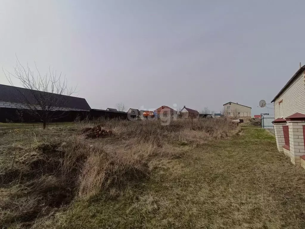 Участок в Белгородская область, Вейделевка рп ул. Зеленая, 5 (15.09 ... - Фото 1