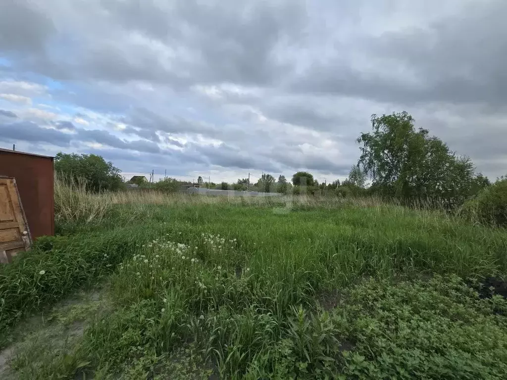 Участок в Тюменская область, Тюмень Садовое товарищество Липовый ... - Фото 1