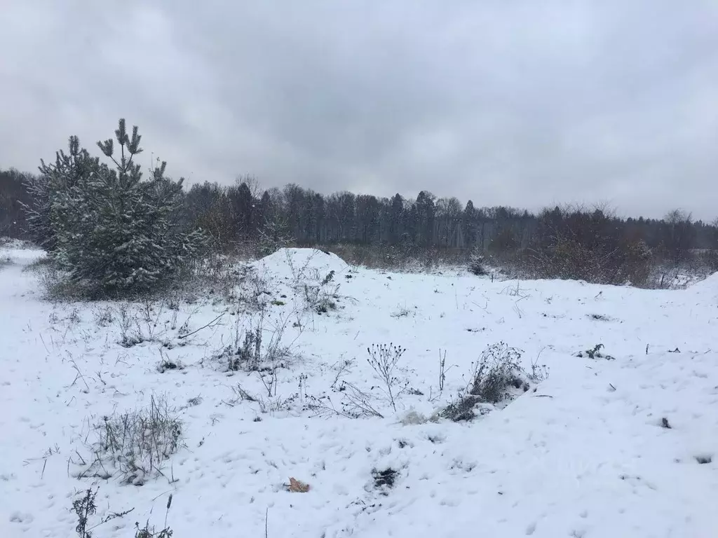 Участок в Московская область, Пушкинский городской округ, д. Цернское  ... - Фото 1