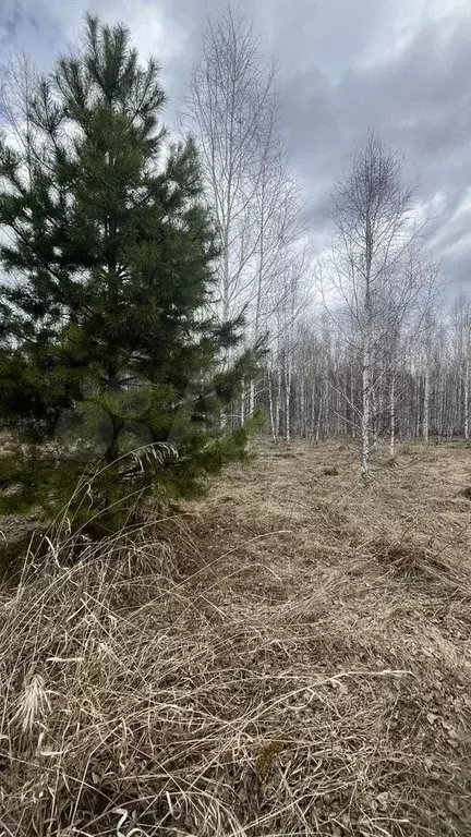 Участок 9 сот. (ИЖС) - Фото 0
