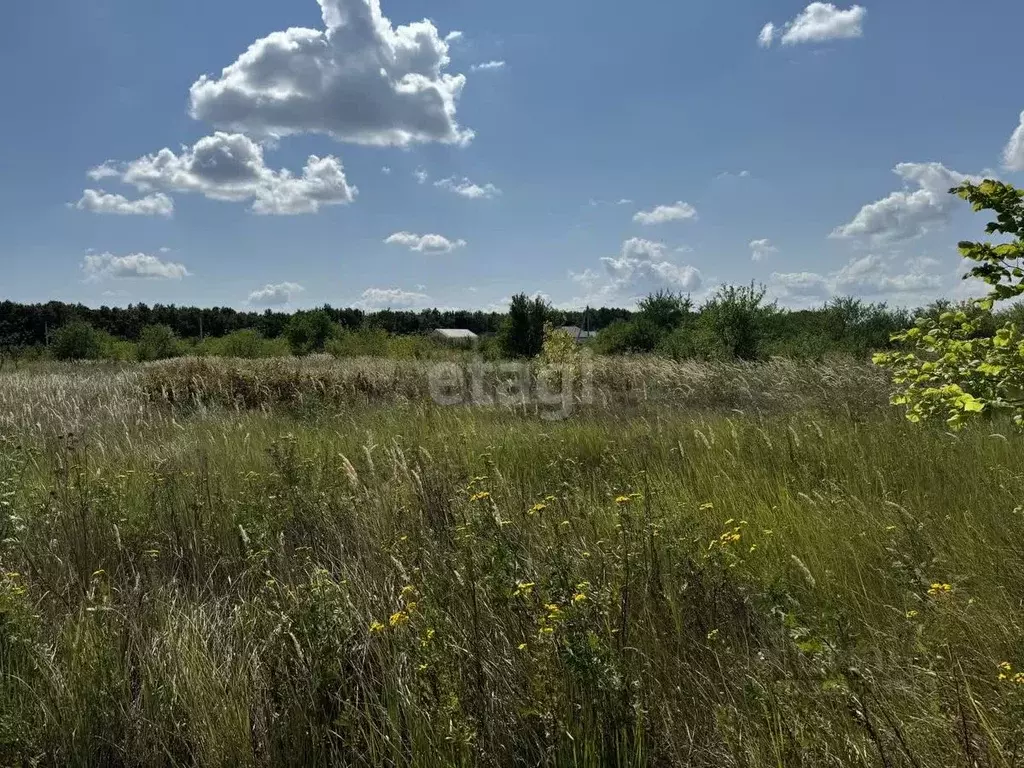 Участок в Белгородская область, Строитель Яковлевский городской округ, ... - Фото 1