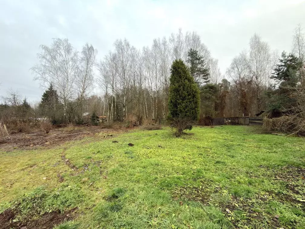 Участок в Московская область, Одинцовский городской округ, Серебряные ... - Фото 1