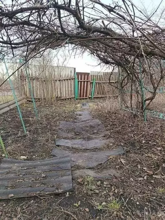 Участок в Черницынский сельсовет (10 м) - Фото 2