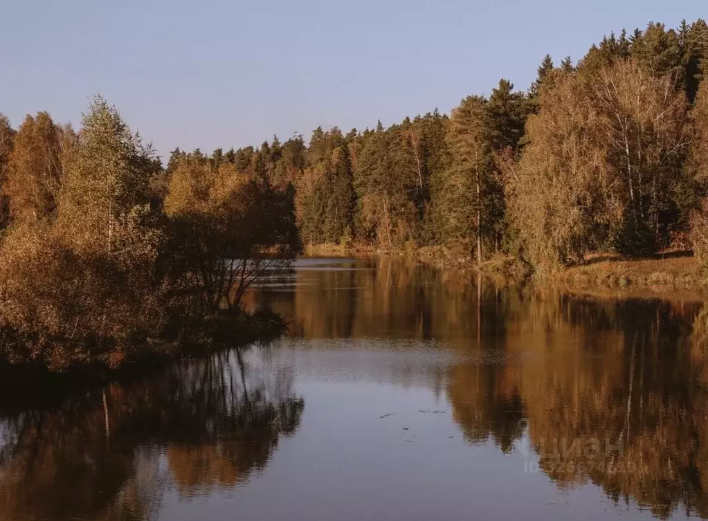 Участок в Московская область, Ступино городской округ, Шелково Парк кп ... - Фото 2