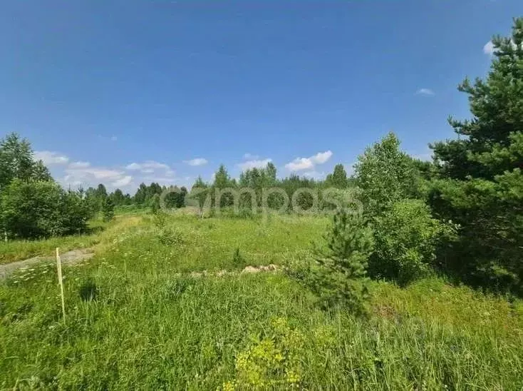 Участок в Тюменская область, Нижнетавдинский район, Сундукуль СНТ  ... - Фото 0