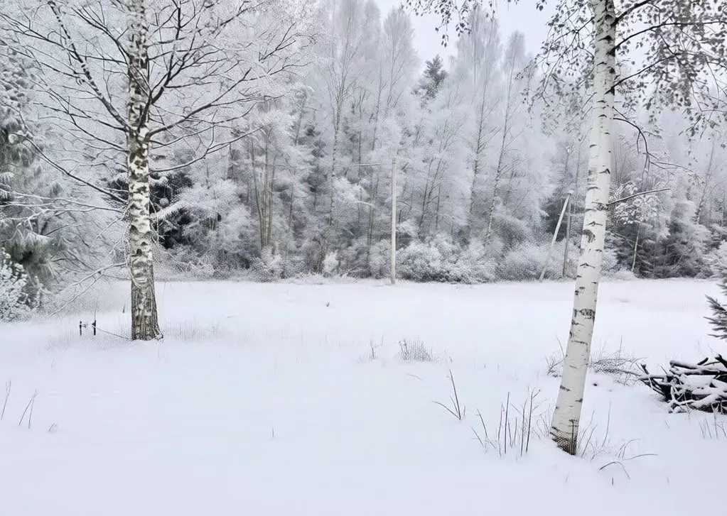 Участок в Ленинградская область, Киришский район, Пчевжинское с/пос, ... - Фото 1