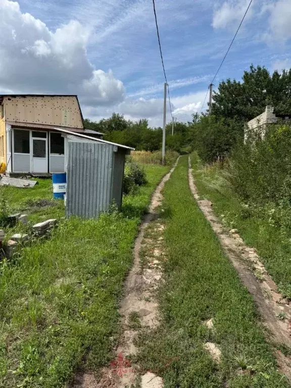 Участок в Белгородская область, Белгородский район, Разумное рп, ... - Фото 2