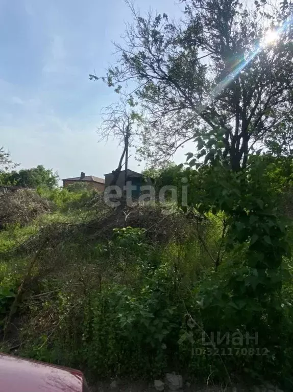 Участок в Ростовская область, Ростов-на-Дону Садовод-Любитель садовое ... - Фото 0