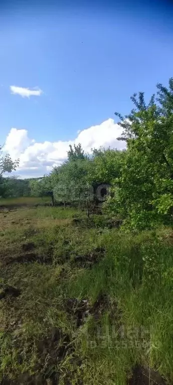 Участок в Саратовская область, Воскресенский район, Елшанское ... - Фото 1