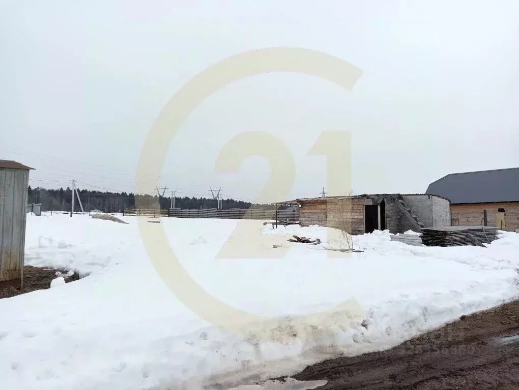 Участок в Пермский край, Пермский муниципальный округ, Дачный Просторы ... - Фото 2