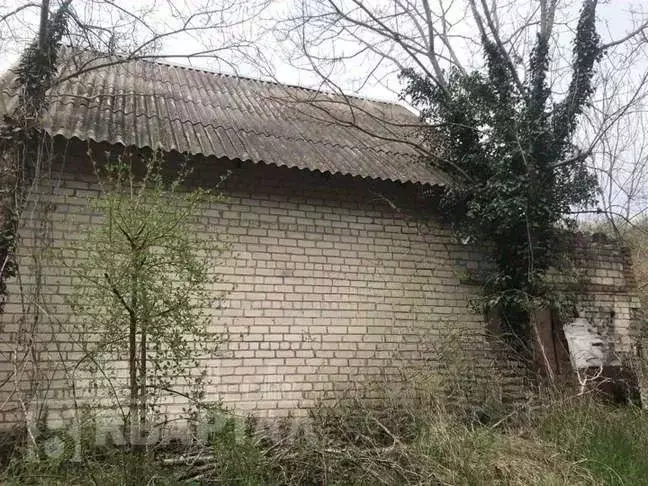 Участок в Краснодарский край, Новороссийск городской округ, пос. ... - Фото 0