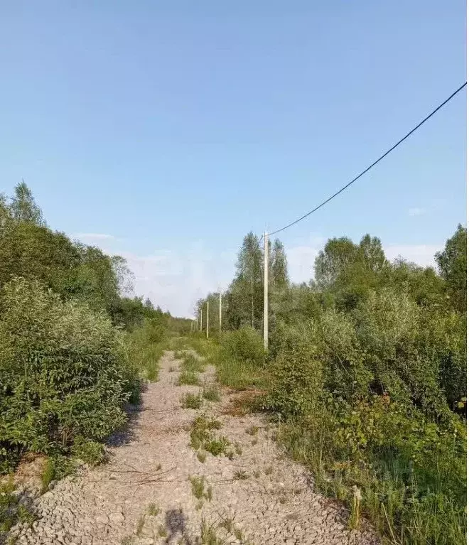 Участок в Вологодская область, Череповецкий район, Ирдоматское с/пос  ... - Фото 1