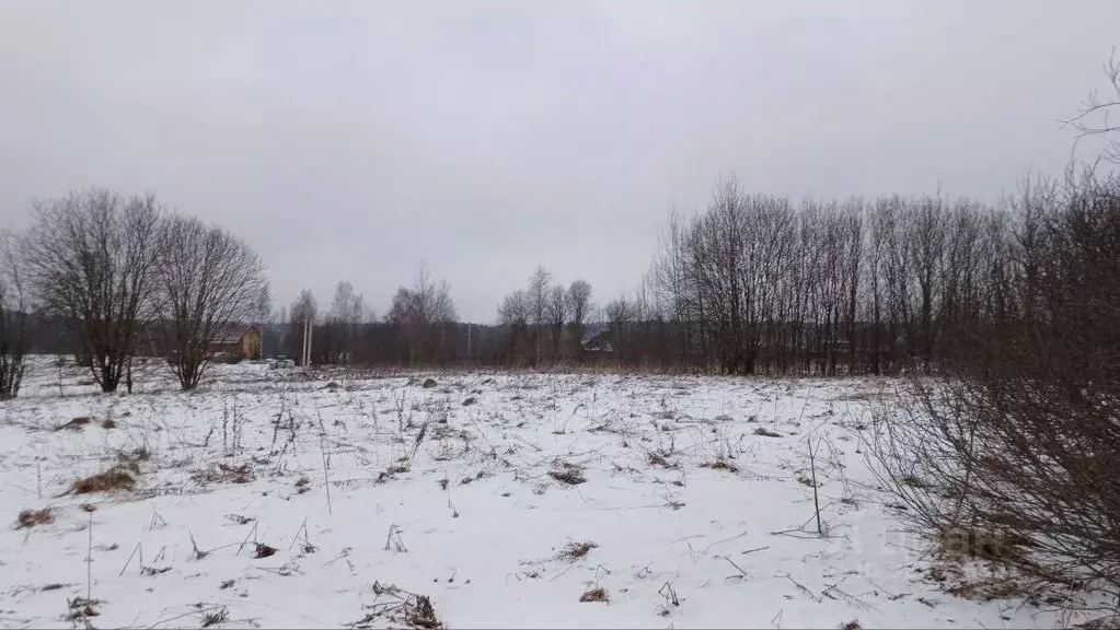 Участок в Московская область, Сергиево-Посадский городской округ, д. ... - Фото 2