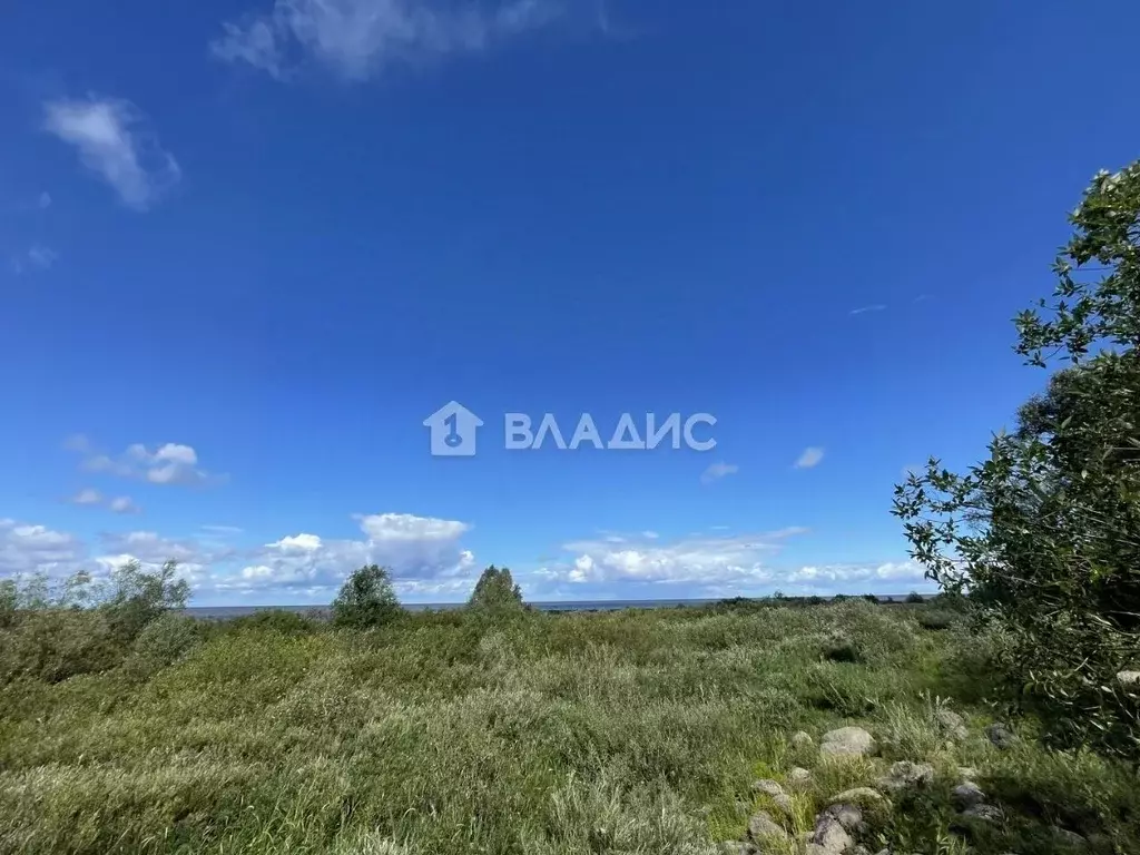 Участок в Новгородская область, Старорусский район, Наговское с/пос, ... - Фото 2