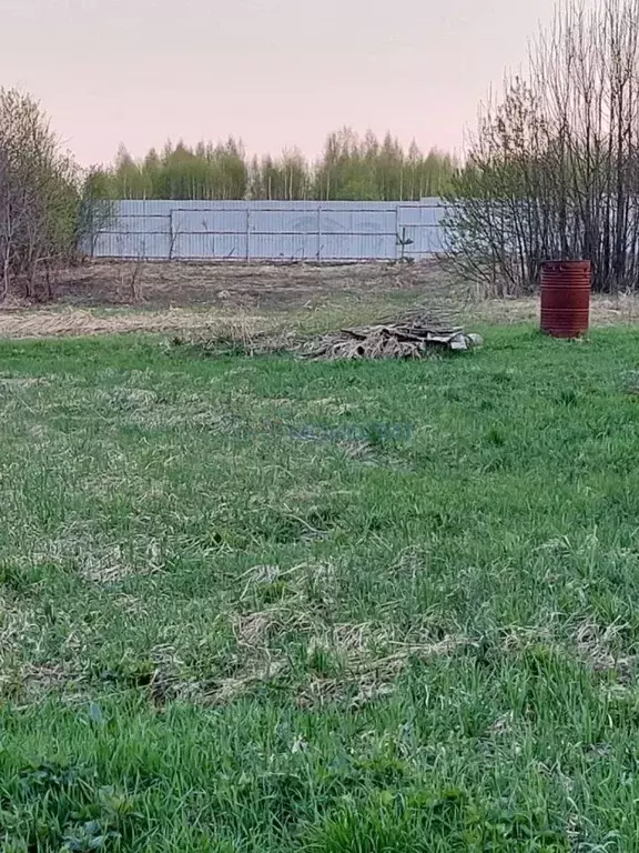 Участок в Нижегородская область, Нижний Новгород д. Подлесово,  (36.75 ... - Фото 2