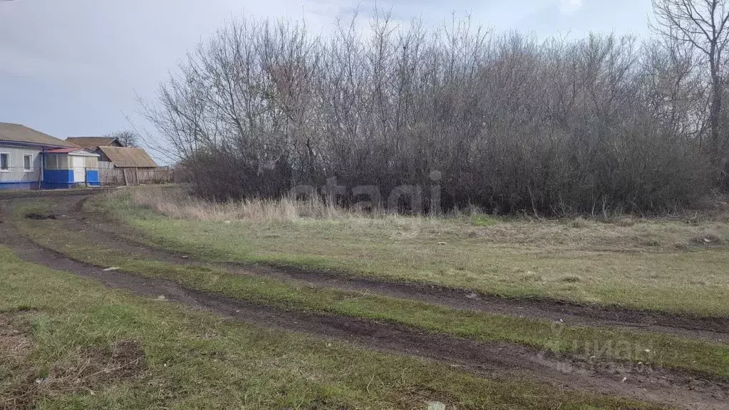 Участок в Воронежская область, Грибановский район, с. Листопадовка ... - Фото 2