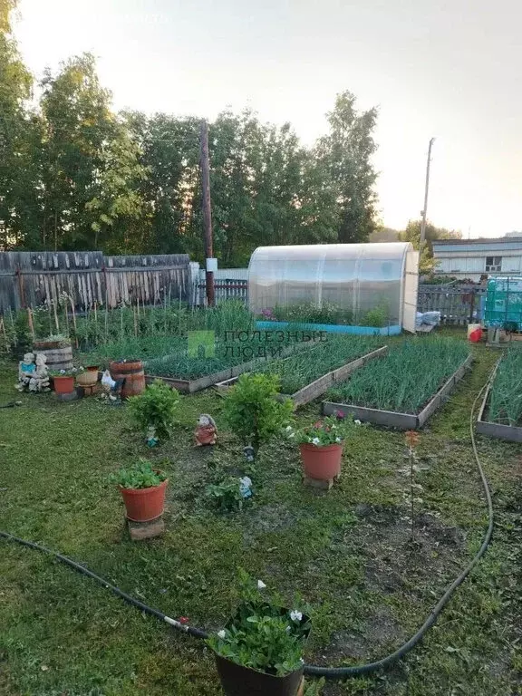 Дом в Красноярский край, Емельяновский муниципальный округ, ... - Фото 2