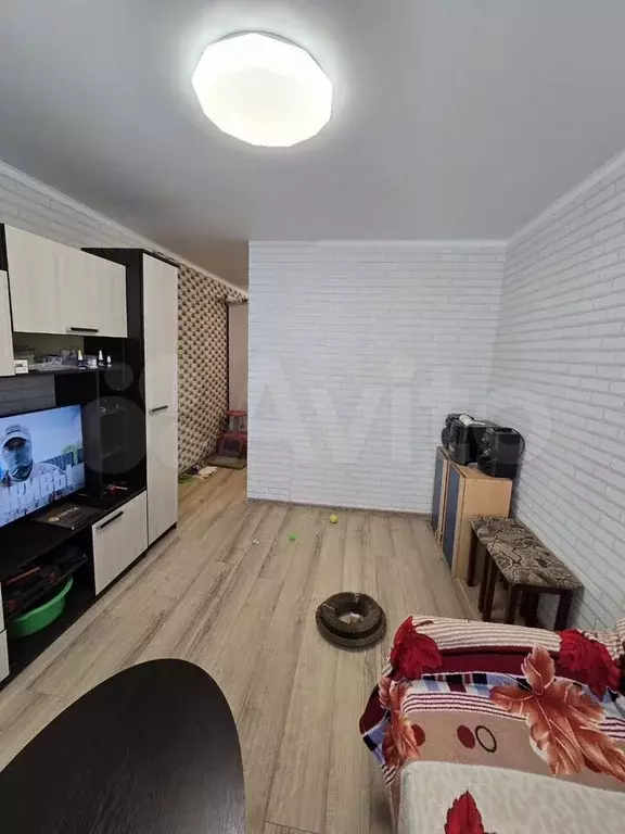 1-к. квартира, 22,7 м, 5/9 эт. - Фото 1